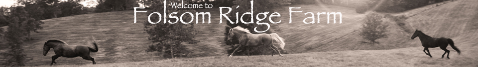 folsomridgefarm.com